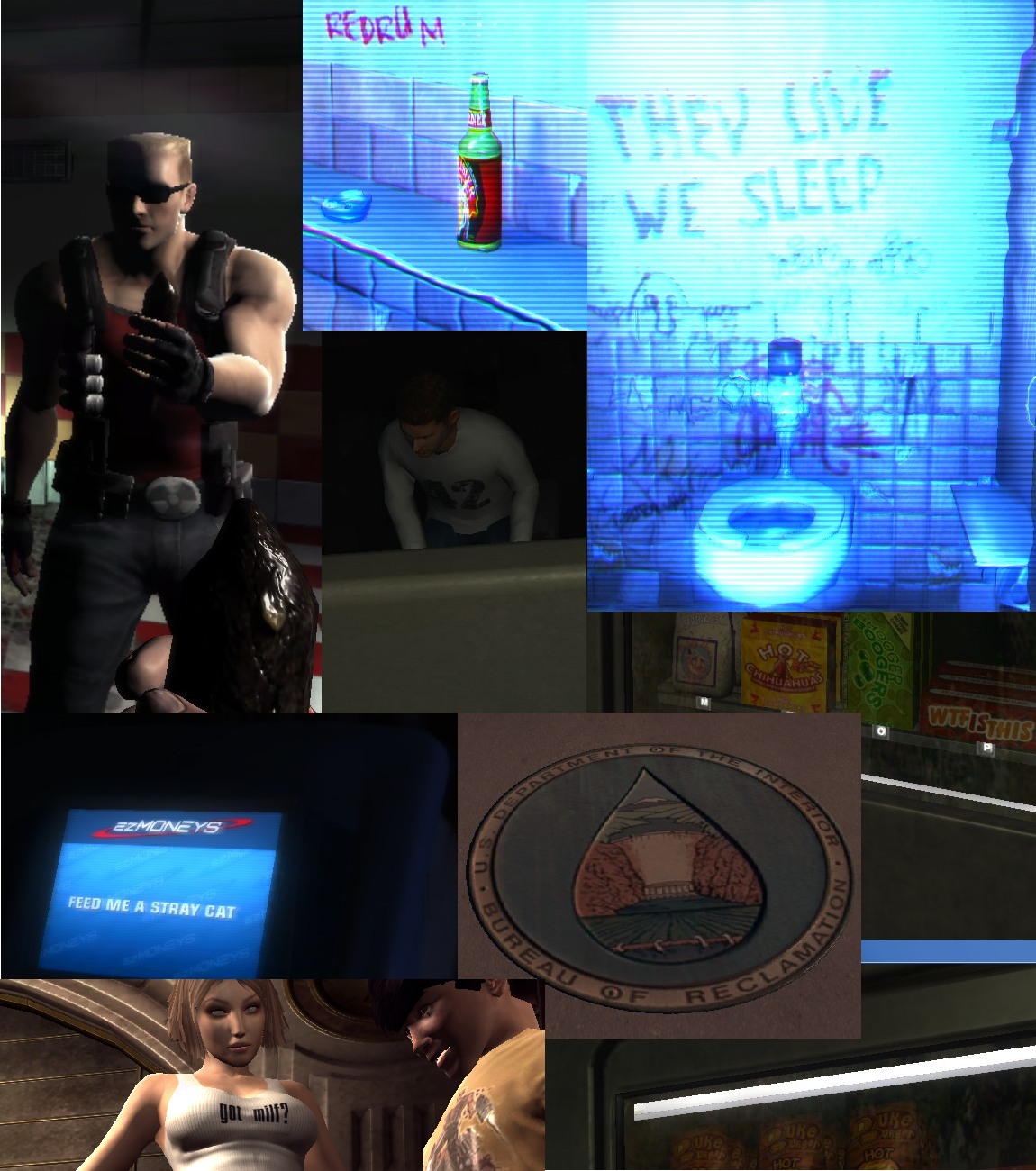 Kuriositäten in Duke Nukem Forever